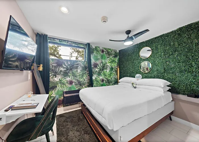 King Room